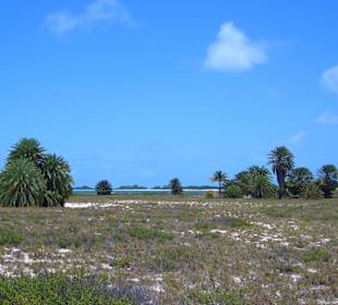 Cayo de Agua