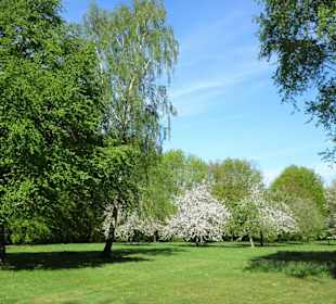 Rundgang durch den Walter-Peters-Park