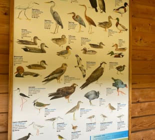 Naturpark S'Albufera