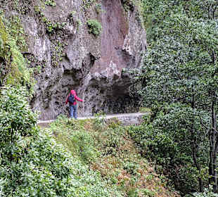 Der Weg - oft nicht gesichert