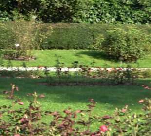 Rosengarten Botanischer Garten