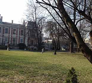 Restauracja Endorfina