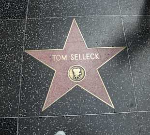 Auch Magnum war hier (rechts ein Schnauzbarthaar)