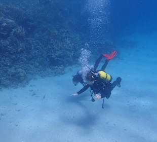 Tauchen Marsa Alam