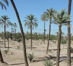 Wycieczka autobusem turystycznym po Marrakeszu