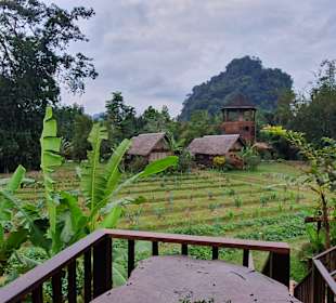 Blick von unserem Baumhaus, Khao Sop NP