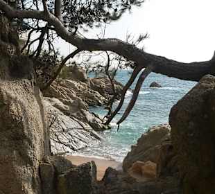 Wanderung mit Meerblick