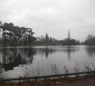 Lago nel bosco