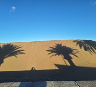 Dünen von Maspalomas