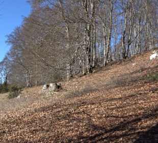 Naturerlebnispfad Meidelstetten