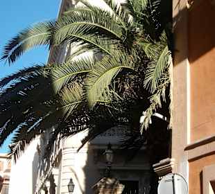 Altstadt Palma de Mallorca