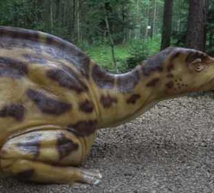 Dinosaurier Museum Altmühltal