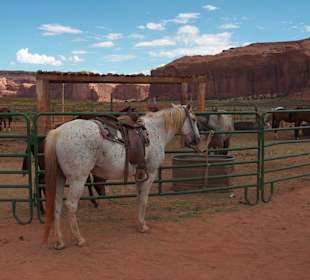 Passeggiata a cavallo