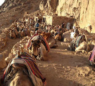 Abstieg vom Berg Moses