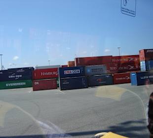 Hamburg - Auge in Auge mit den Giganten