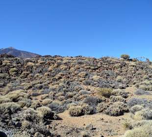 Teide 