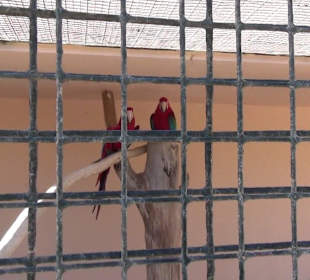 Guinitate Tropical Park