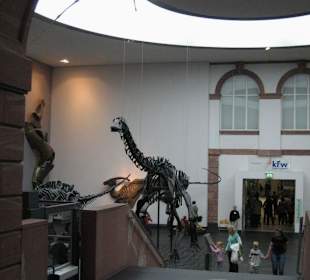 Senckenberg