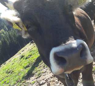 Wandern Leutkirch im Allgäu