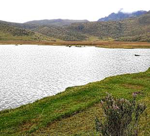 Cotopaxi Nationalpark