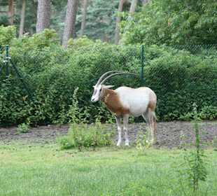 Serengeti Park Hodenhagen