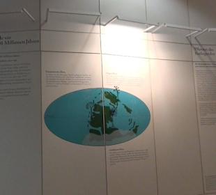 Entwicklung der Pflanzenwelt