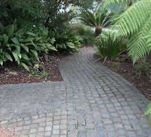 Botanischer Garten