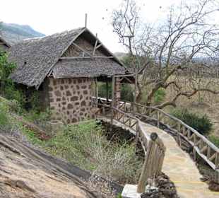 Nachts sehr einladend für Leoparden