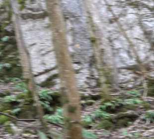 Wolfsschlucht