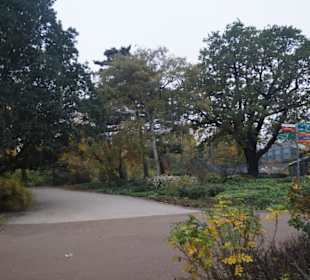 Parkanlage Planten un Blomen