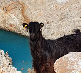 Strand Seitan Limania
