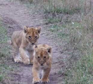 Noch ein bißchen tappsig