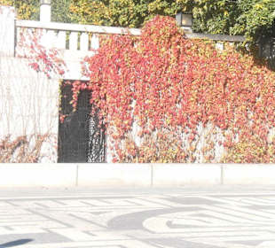 Herbstliche Impressionen