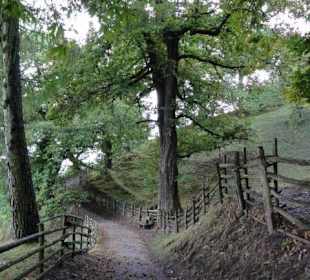 Kastanienerlebnisweg in Völlan