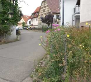 Ehemalige Scheune von 1548