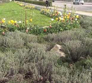 Bürgerpark Offenburg