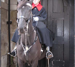La guardia a cavallo
