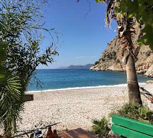 Klebekler Vadisi - Schmetterlingsbucht