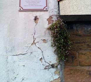 Gartenpavillon Homburg in Homburg