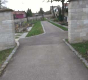 Friedhof Neckarhausen