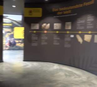 Dinosaurier Museum Altmühltal