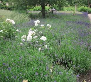 Am Schloss Karlsruhe