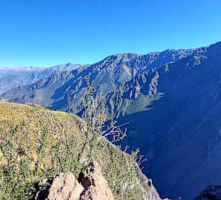 Colca-Canyon