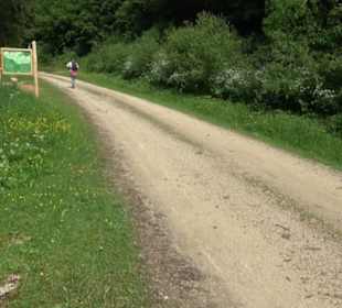 Phäno-Pfad Aichstetten