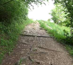 Kreuzweg St. Anna Salmendingen