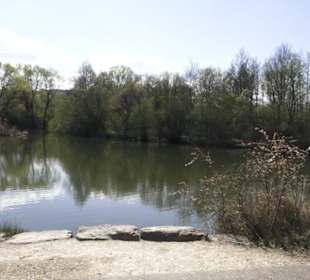 Sport- und Freizeitpark Markwasen