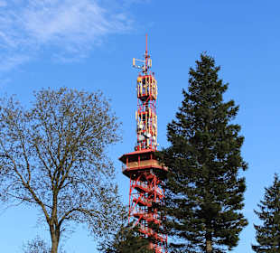 Wandern auf dem Bestwiger Panoramaweg Stüppelturm