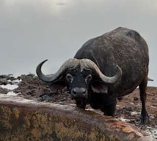 Besser Abstand halten 👀