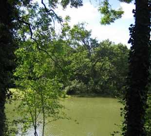 Der See, die Bäume, der Park.