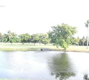 Golfplatz in direkter umgebung, schöne Spaziergäng